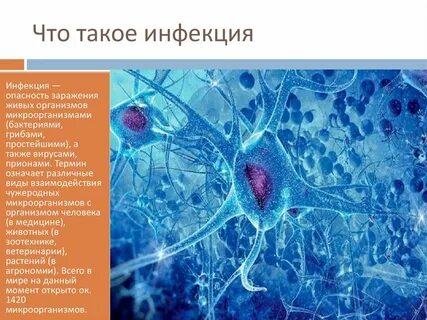Информация про инфекции