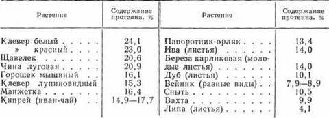 Содержание белка в овощах