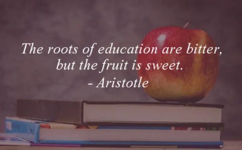 The fruits are together перевод. The roots of Education are Bitter but the Fruit is Sweet. The roots of Education are Bitter but the Fruit is Sweet meaning. F. the roots of ____ are Bitter, but the Fruit is Sweet.. The Seeds of Education are Bitter quote.