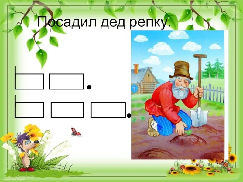 Дедушка посадил дерево 54. Посадил дед репку презентация. Посадил дед репку схема предложения. Что такое схема предложения 1 класс посадил дед репку. Репка схема.