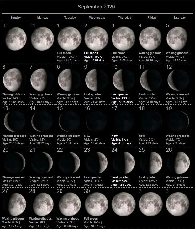 Лунный календарь на март 24 мир космоса. Moon phases 2022. Moon phases Lunar Calendar 2022. Moon phases 2021. Лунные сутки сейчас.