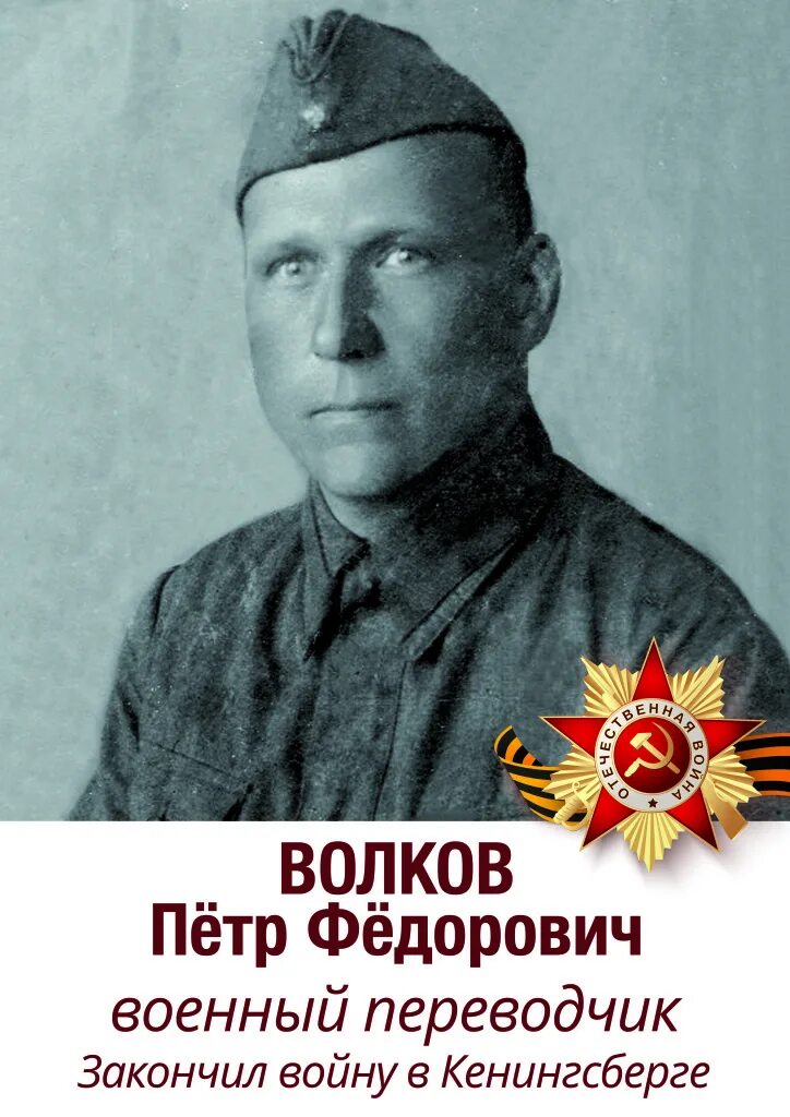 Павлович волков