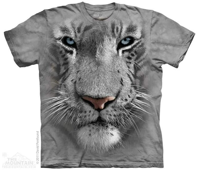 3 d t