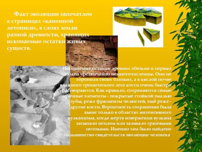 Каменная летопись земли окаменелости. Климатическая летопись земли-. Гоголь 1840. Каменная летопись творения. Каменная летопись земли презентация.