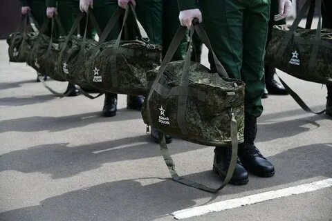 Служба срочников в 2024