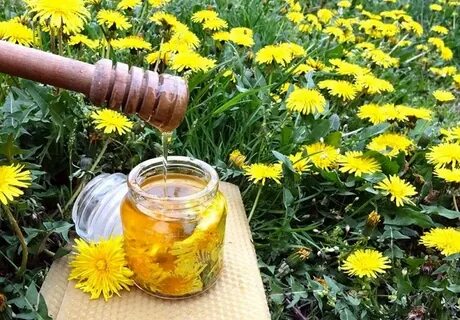 Налей цветы