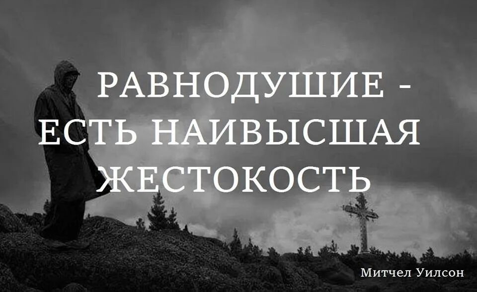 Равнодушие. Равнодушие есть наивысшая жестокость. Цитаты про равнодушие и жестокость. Душа не равнодушна песня