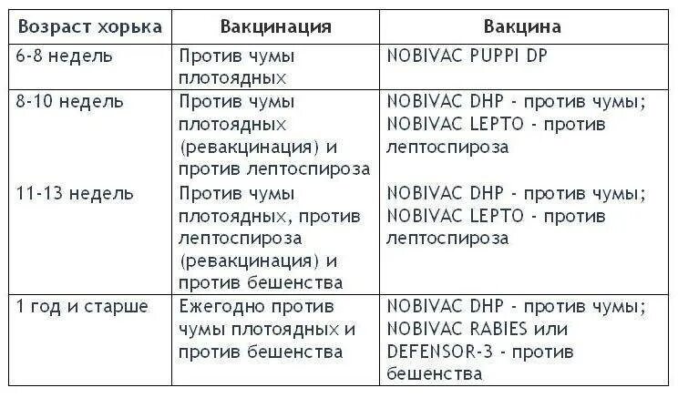 Прививки собакам по возрасту: таблица вакцинации собак