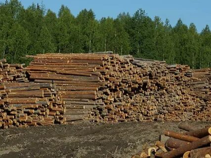Тендеры архангельской