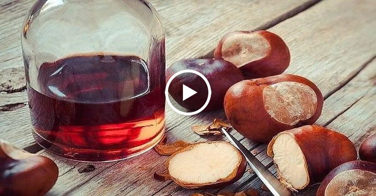 Настойка из каштана. Каштан конский плоды несъедобные. Конский каштан. Экстракт конского каштана. Каштан орех.