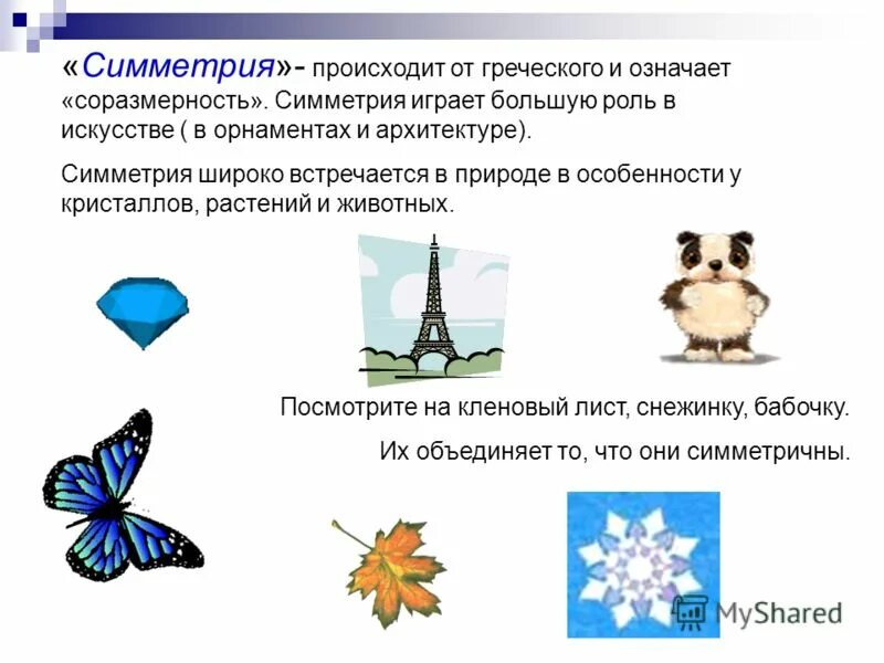 слово симметрия происходит от греческого и означает соразмерность. симметрия доклад. симметрия на греческом. соразмерность понятия. симметрия с греческого означает.