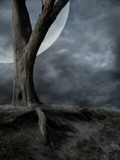 Dark pick