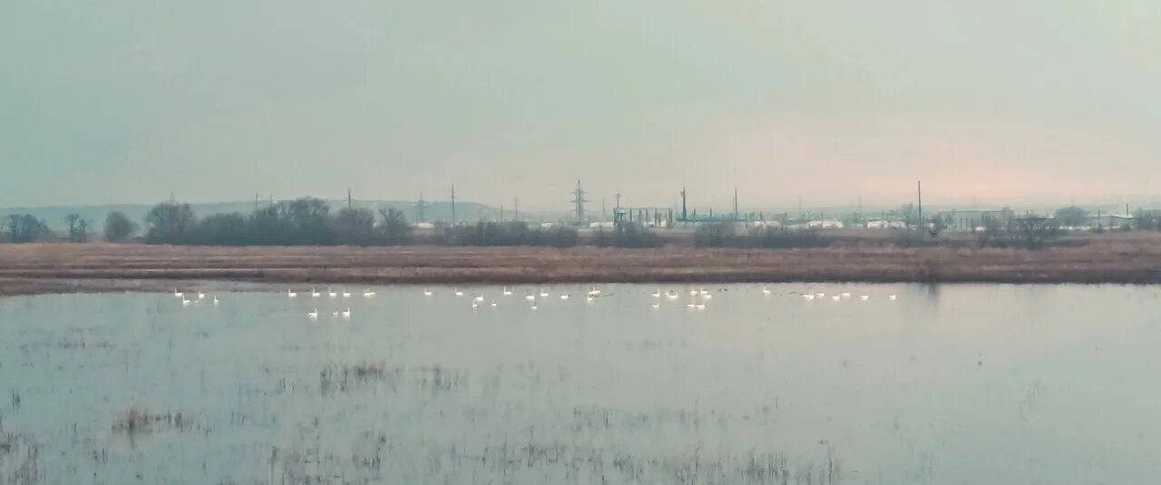 Какой уровень реки сакмара у татарской каргалы