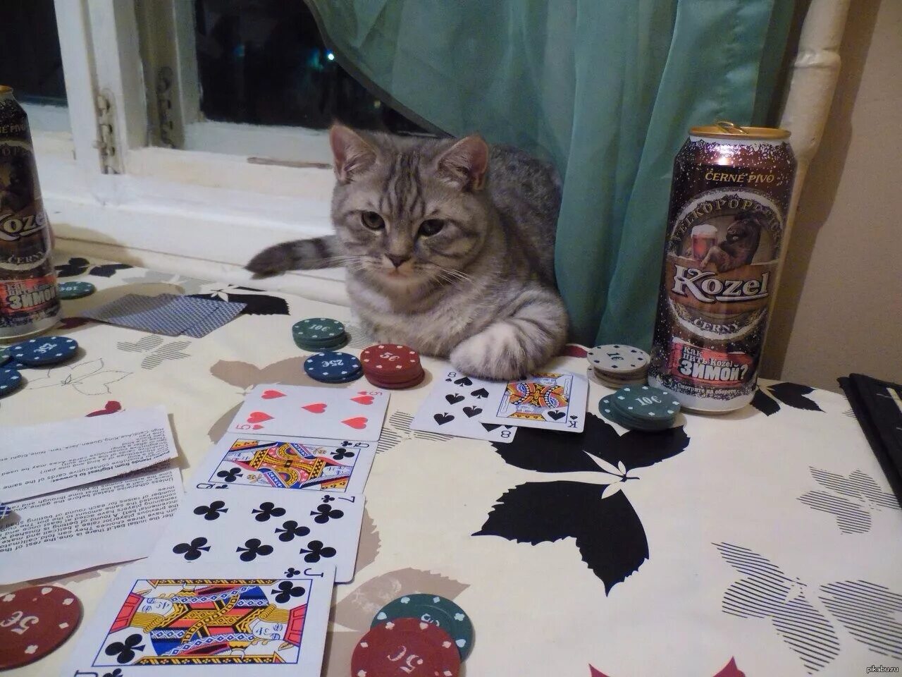 Мем коты игры. Коты покер. коты играют в карты. кошачий покер. коты играющие в карты.