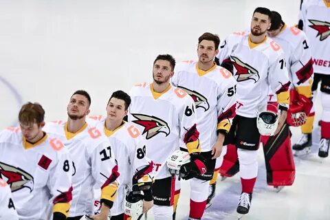 Состав игроков авангарда