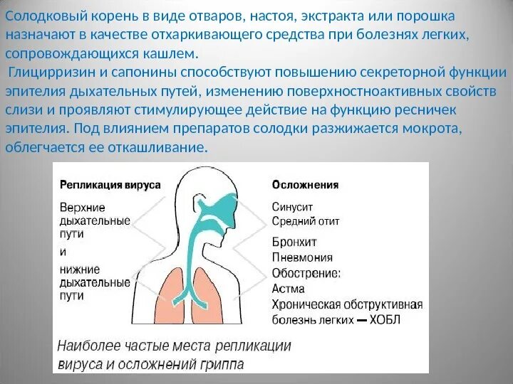 Тест заболевания верхних дыхательных путей. Заболевания верхних дыхательных путей. Для верхних дыхательных путей препарат. Заболевания верхних и нижних дыхательных путей. Антибиотик для верхних дыхательных путей.