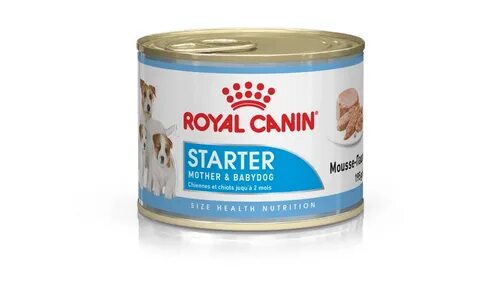 Canin starter