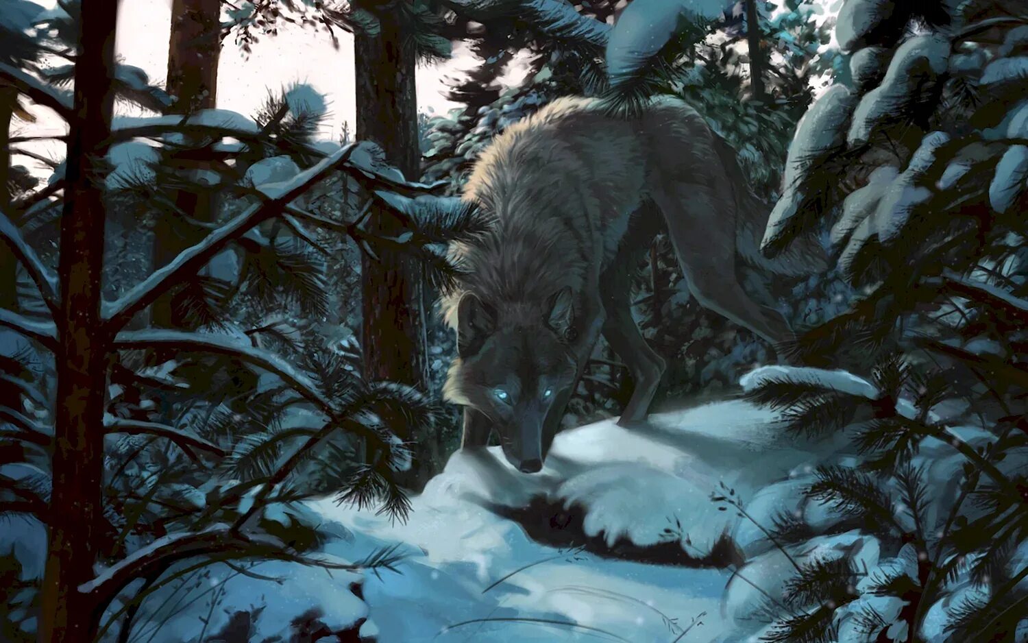 Волк арт. Волк фэнтези. Волк в лесу. Волк в лесу арт. Хвойная волки