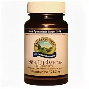 Эйч пи файтер нсп. Эйч пи файтер. Эйч пи файтер. Эйч пи си нсп. Эйч пи файтер состав.