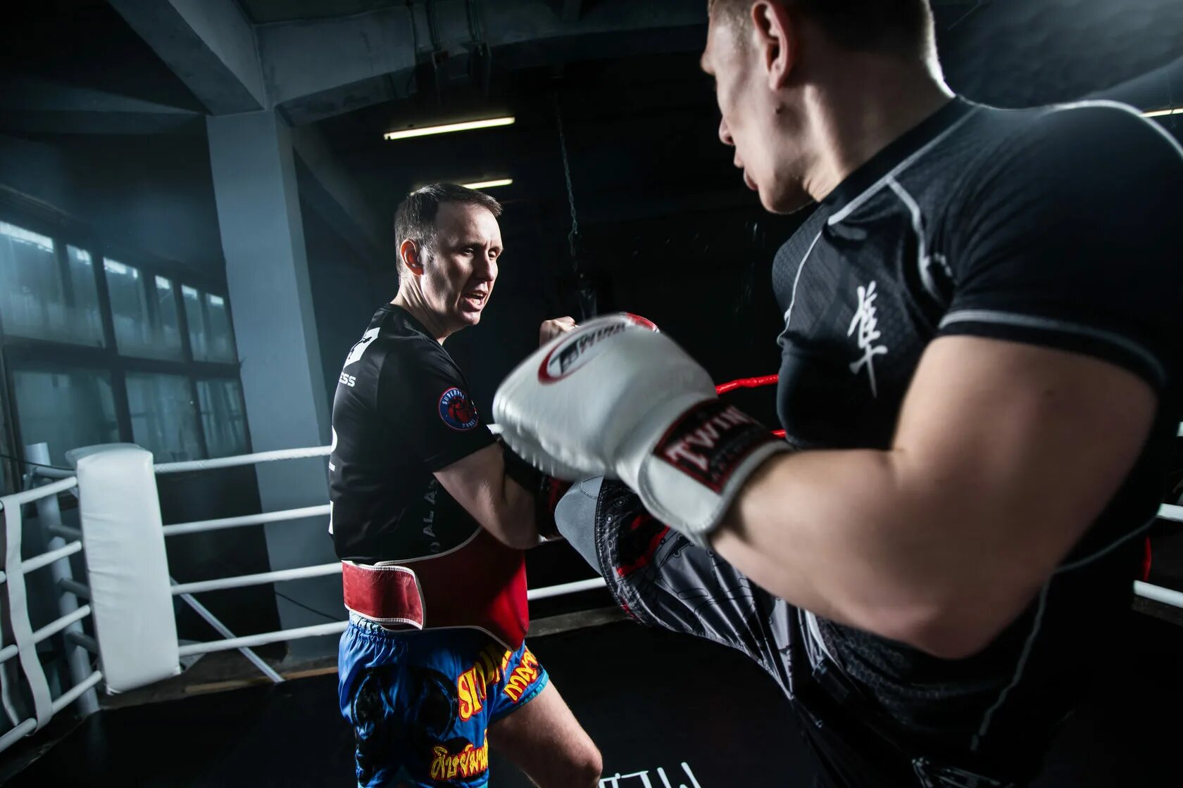 Сдюсшор по восточным единоборствам новосибирск сайт. Пермские медведи клуб единоборств. Спортивный клуб медведь дзержинский. Боевые искусства новосибирск. Боевой клуб.