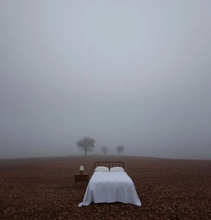 Спят в тумане поля. Эстетика одиночества. Туман сон. Эстетика одиноких. Одиночество предметы.