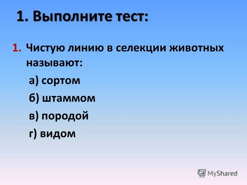 что называют породой сортом штаммом