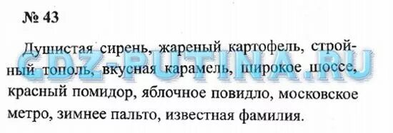 Стр 26 no 3. Русский язык 2 часть 3 класс номер 43. Русский язык 3 класс упражнение 43. Русский язык 3 класс страница 27. Русский язык 3 класс 2 часть стр 27 номер 43.