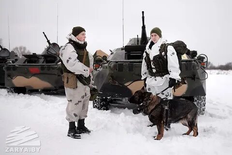 Внезапная проверка