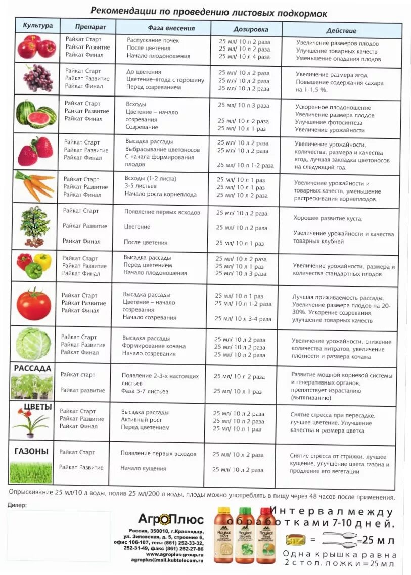 Какие овощи подкармливают. Подкормки овощей график. Схема подкормки рассады овощных культур. Схема подкормки рассады томатов. Схема удобрения рассады томатов.