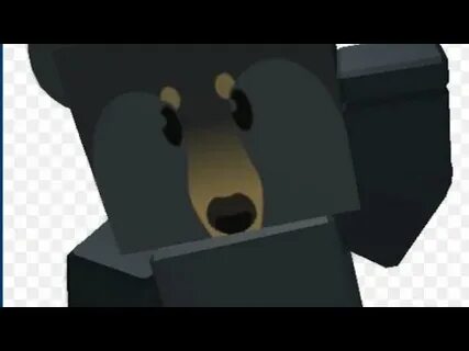 Bss bear