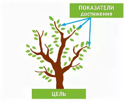 Тема деревья цель