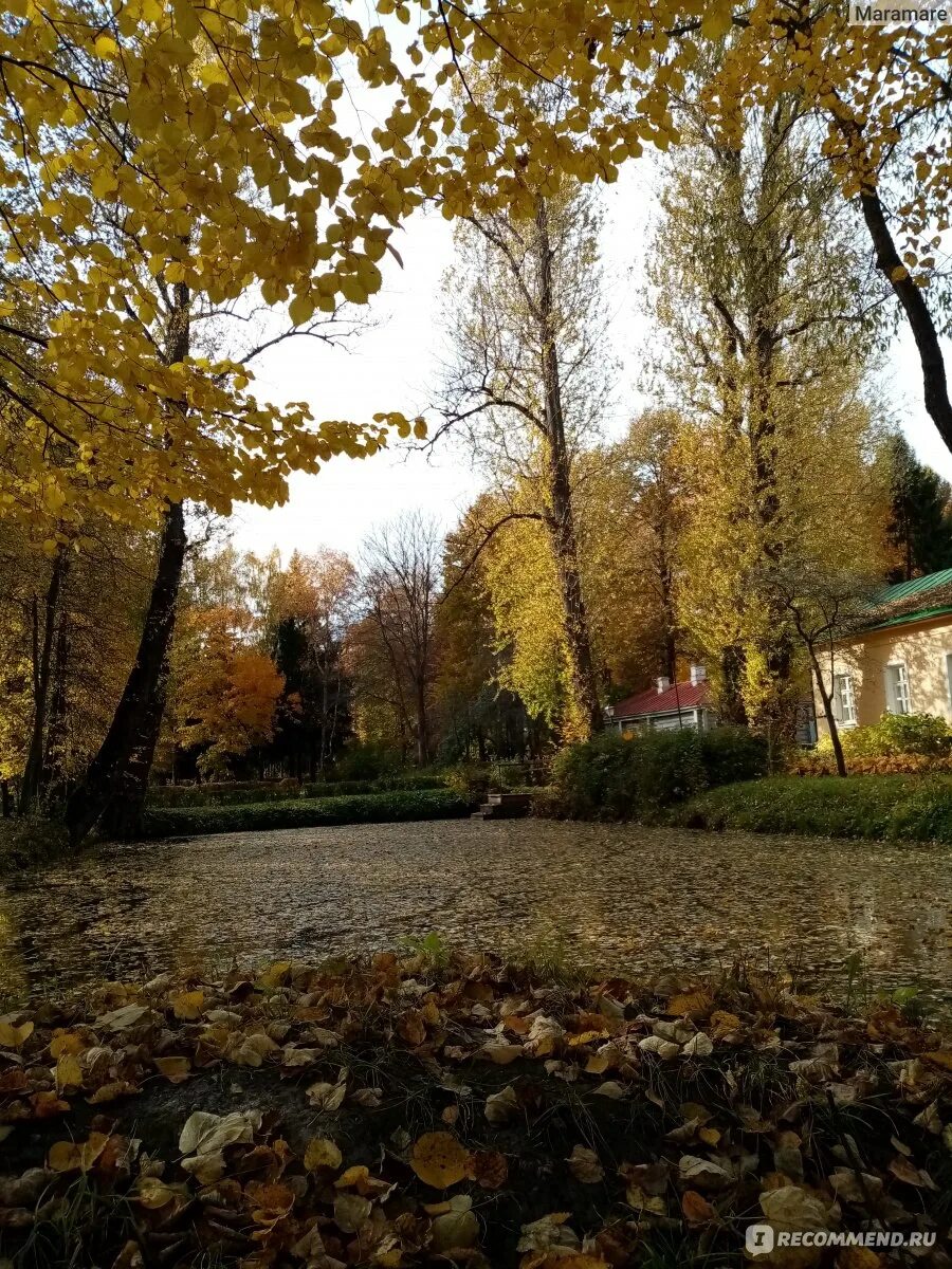 Подмосковном чехове. Чехов город парк. Чехов (Московская область). Парк в городе Чехов Московской области.