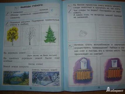 Окружающий мир 2 класс рабочая тетрадь зима