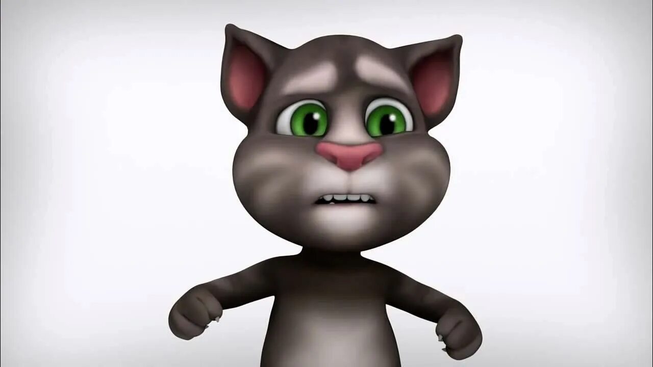 Talking Tom. Talking Tom 2 2011. My talking Tom 1. Talking Tom 1997.