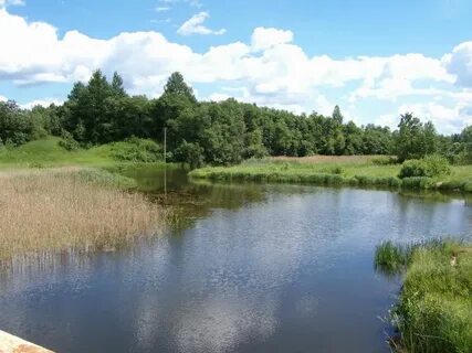 Каменка смоленская область