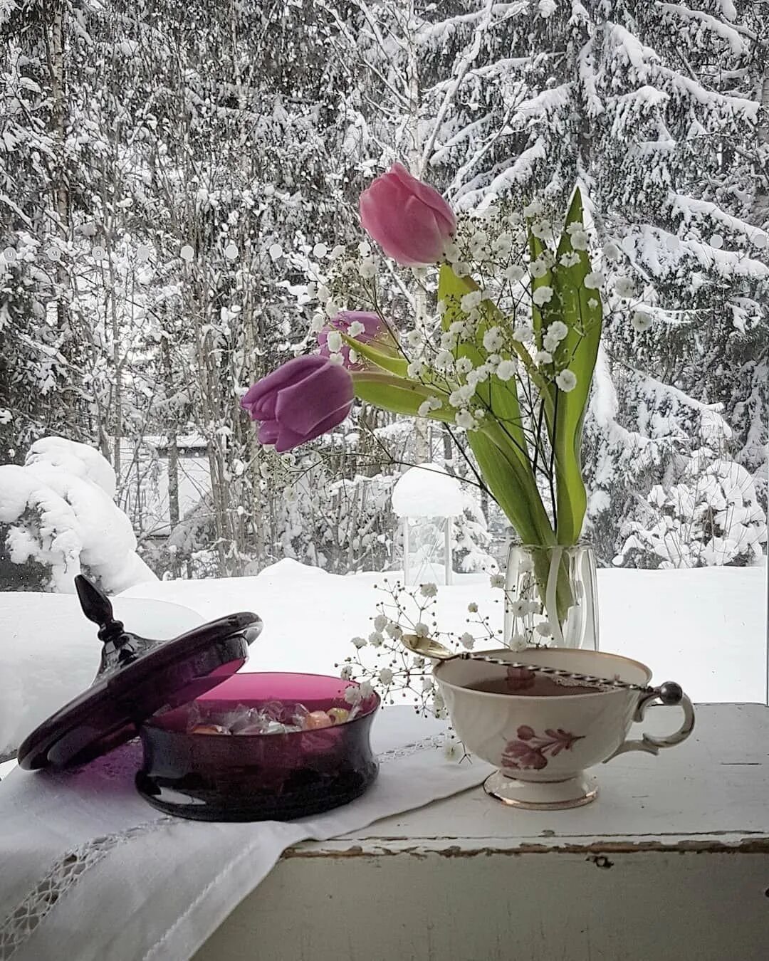 Мамин день день весенний не морозный. Доброе Снежное утро. Зимние цветы. Цветы зимой. Весенние цветы на окне.