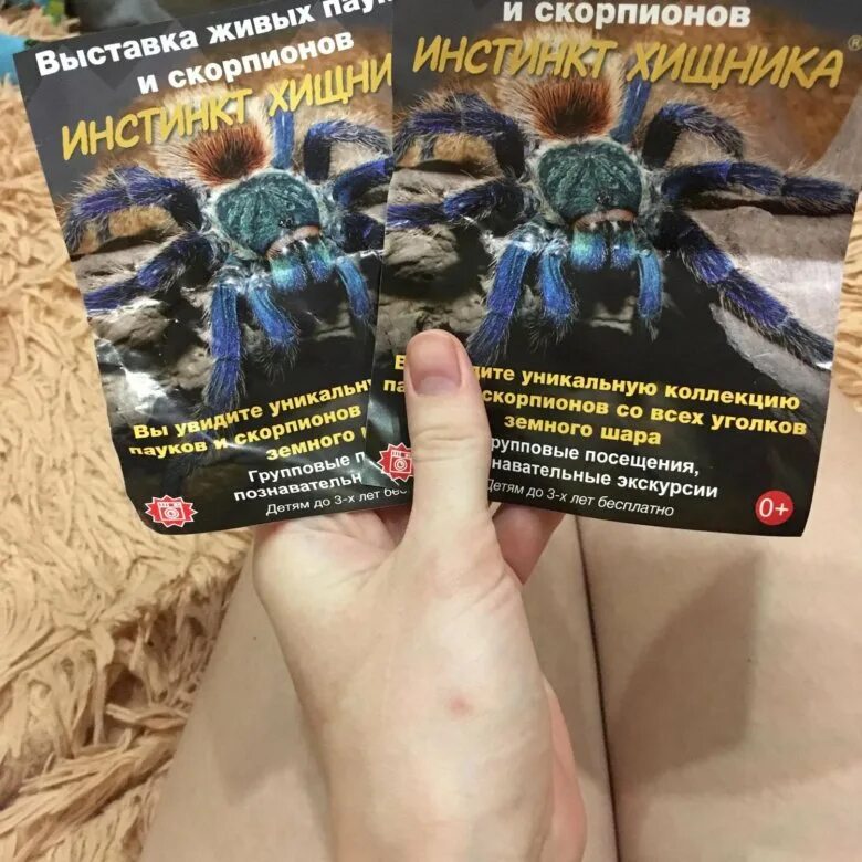 Тц уровни краснодар пауки