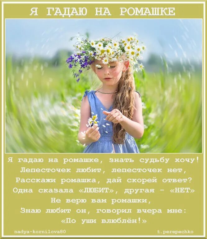 Песня а в руках ромашка девочка. Песня а в руках ромашка девочка