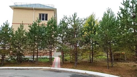 Характеристика сорта еланчик