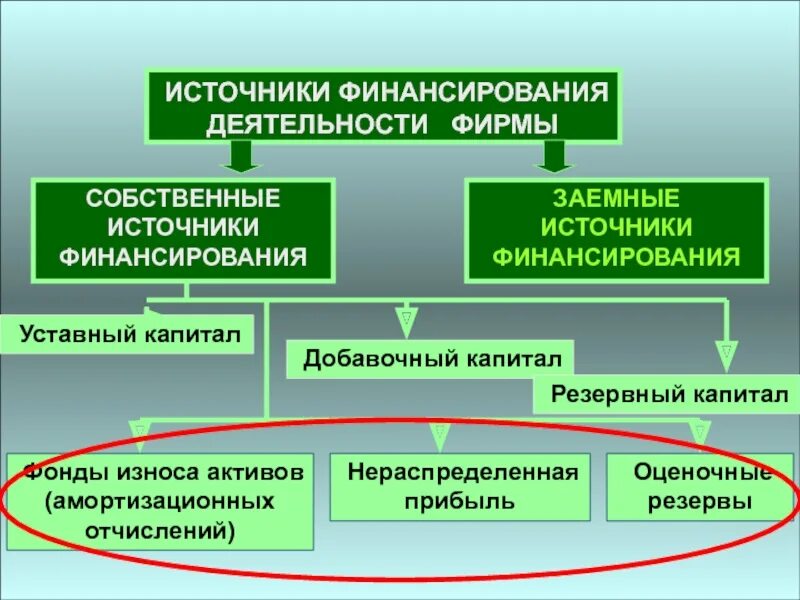 Заемные источники финансирования организации. Собственные источники финансирования. Собственные источники финансирования организации. Собственные источники финансовых средств.