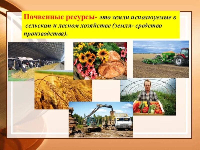 Использование грунтов
