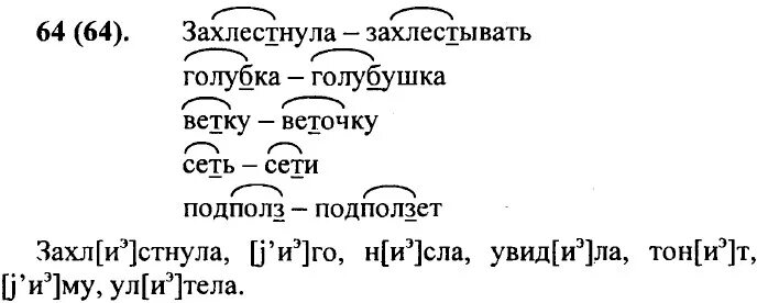 Окончание слова веток. Ветка корень слова. Веточка корень слова. Русский язык 5 класс номер 64. Корень в слове ветвями.