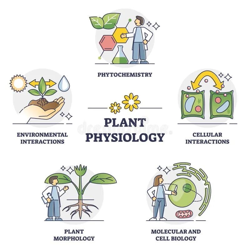 Plant physiology. Физиология растений. Общество физиологов растений эмблема. Plant Physiology and Biochemistry. Физиология растений, животных человека иконка.