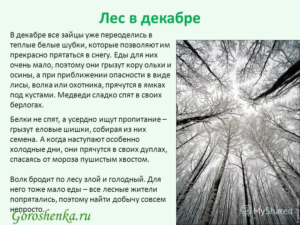 Подобрать слова к слову стужа