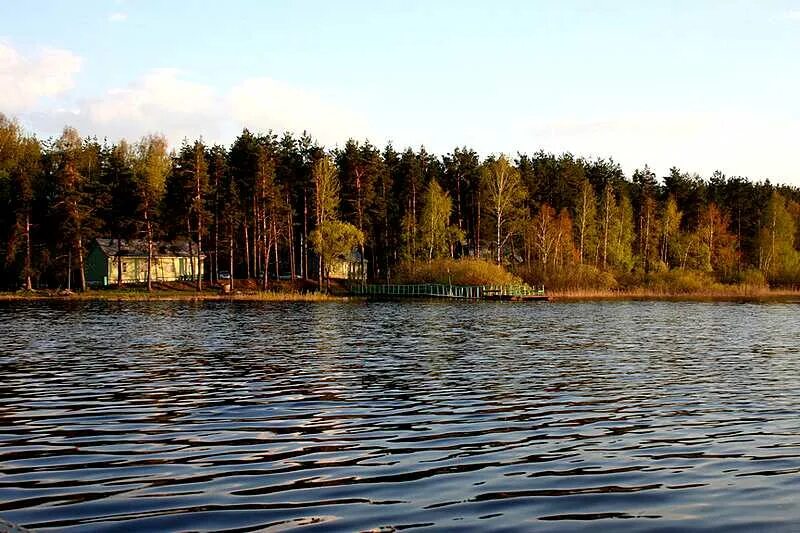 Мещера клепики. Турбаза мещера рязанская область. мещера охотхозяйство рязанская область. охотничье хозяйство мещера. мещера охотхозяйство рязанская область тюрвищи.