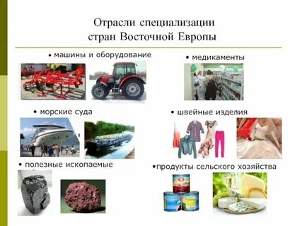 Причины промышленной специализации восточной европы