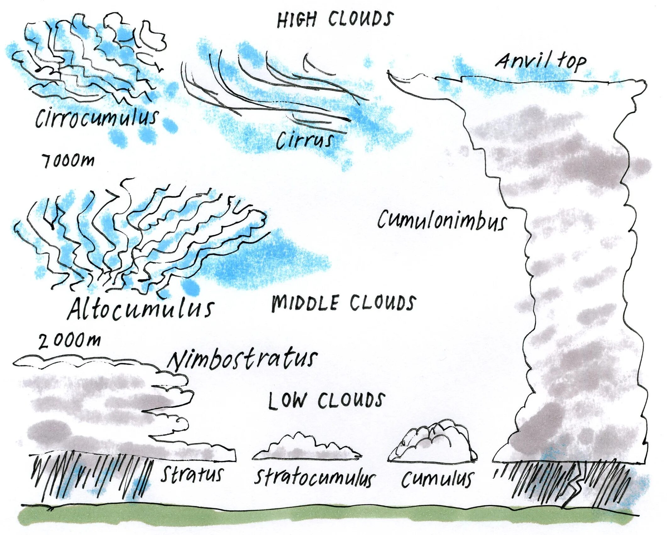 Types of clouds. Types of clouds worksheets. cloud worksheet. types of clouds worksheets for kids.