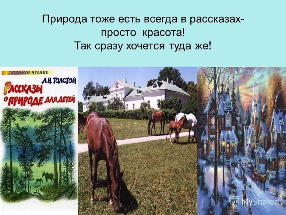 природе тоже. природа тоже воевала. лесное озеро в канаде. горное озеро в долине реки тоенки, красноярский край. природа тоже проклинает 1 класс классный час конспект.