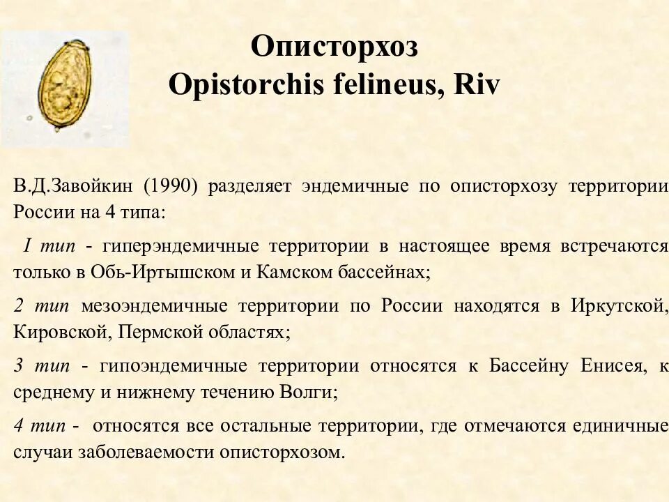 Кошачий (сибирский) сосальщик (opisthorchis felineus). Opistorchis felineus. Opisthorchis felineus кошачья двуустка. Opistorchis felineus. Трематоды кошачья двуустка.