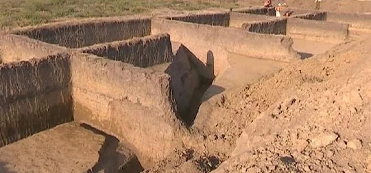 Цитадель найдено поддельное удостоверение mass effect 2. Цитадель найдено поддельное. Цитадель найдено поддельное. Цитадель найдено поддельное. Цитадель лаферьер гаити.